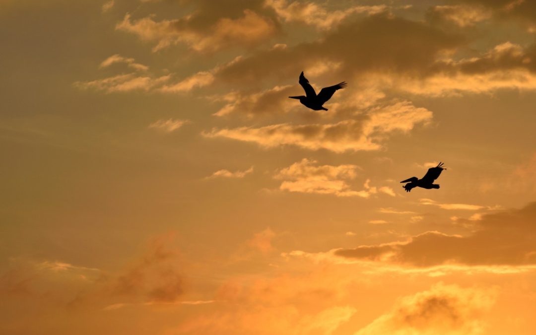 All my problems like little birds fly away